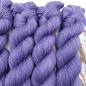 Preview: BFL DK Passione 100g Bild 2