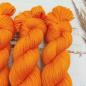 Preview: Malia Kürbissuppe 100g Bild 2